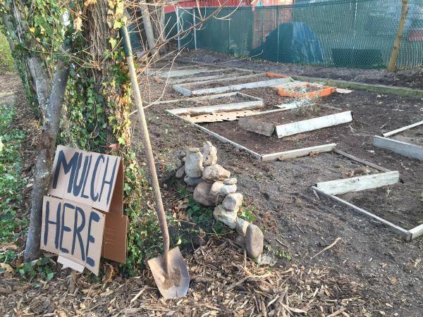 Raised garden beds