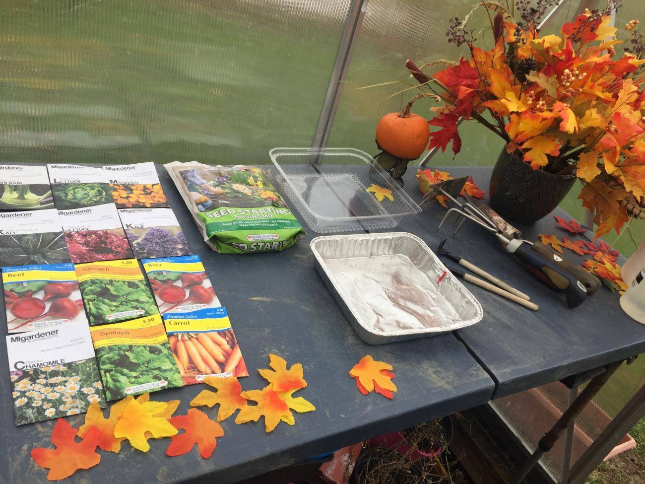 An outdoor table set up with fall leaves, pumpkins, seed packets, and garden tools. 