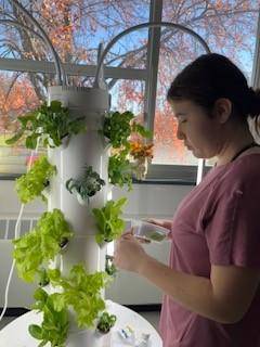 A student works on a grow tower in their classroom
